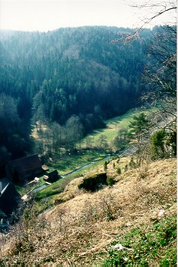 Kleinziegenfelder Tal im Frühjahr