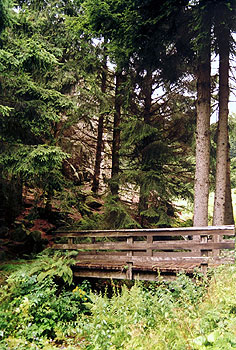 Von der Schauinslandstrecke ins Münstertal